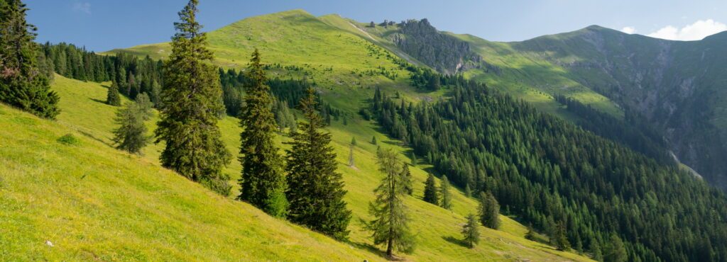 Bergpanorama im Salzburger Land